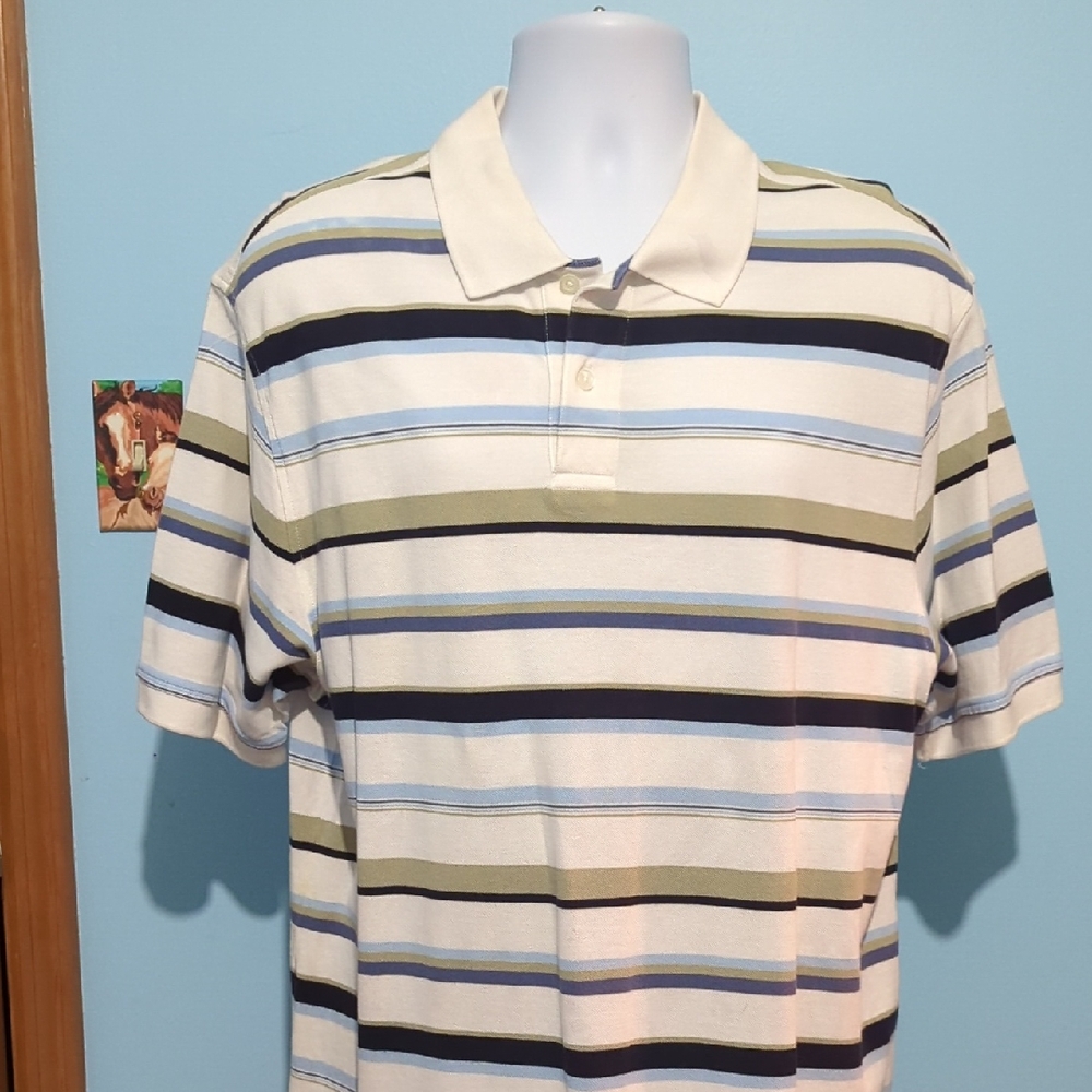 Roundtree & Yorke Multicolor Striped Polo Shirt